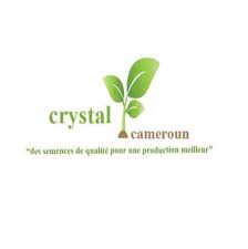 Crystal Cameroun